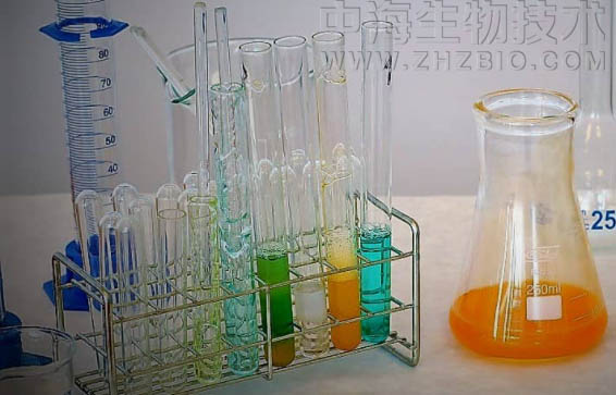 淺談培養(yǎng)基保存放置需注意四個(gè)方面？